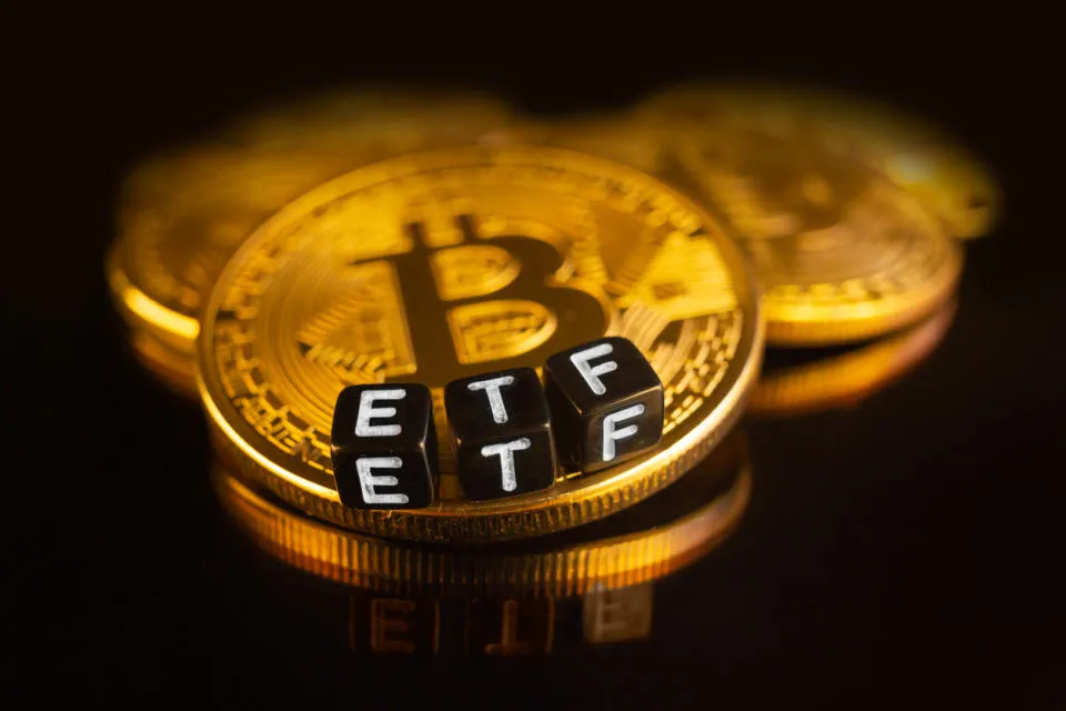 Spot Bitcoin ETFs Stürzen Ab BTC Crash Sorgt Für Panik