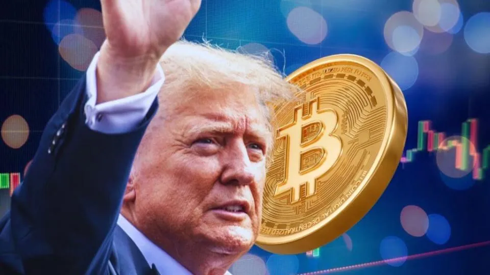 Donald Trumps Krypto Portfolio Verlust Schockiere Dich