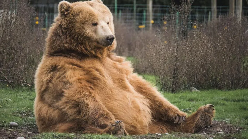 Dezentralisierter Krypto-Austauschaggregator Ooga Booga sammelt $1M