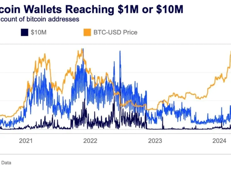 Dieser Bitcoin-Bullenmarkt züchtet Millionärs-Wale in einem langsameren Tempo, wie Daten zeigen.