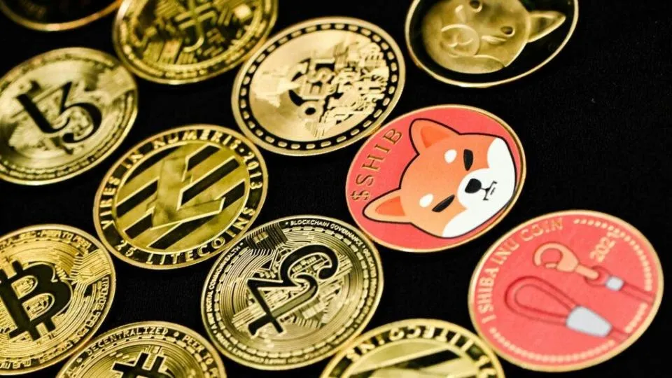Bitcoin Dogecoin Shiba Inu Renditen enthüllt: Die überraschende Gewinner-Krypto