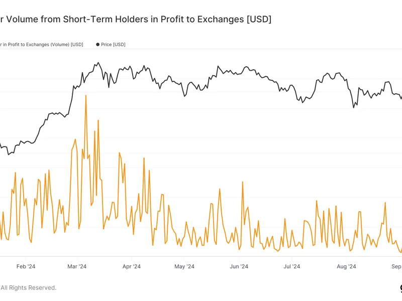 Bitcoin Höhenflug: Steht Ein Absturz Bevor?
