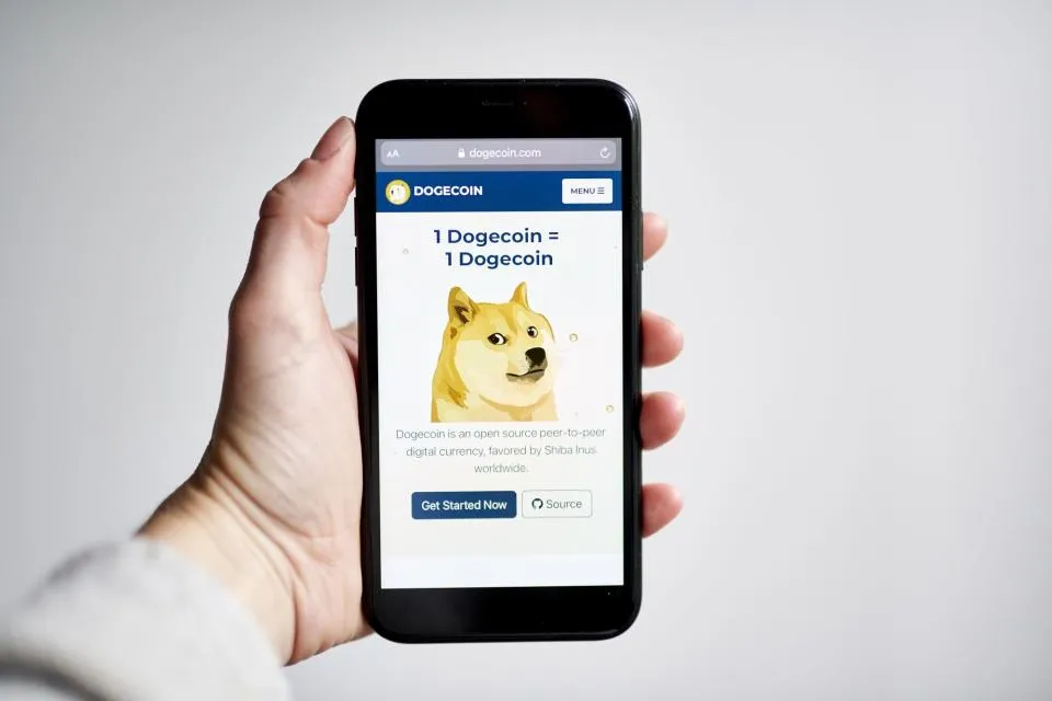 Memecoin-Fieber erreicht seinen Höhepunkt auf dem Rücken der Bitcoin-Rallye.