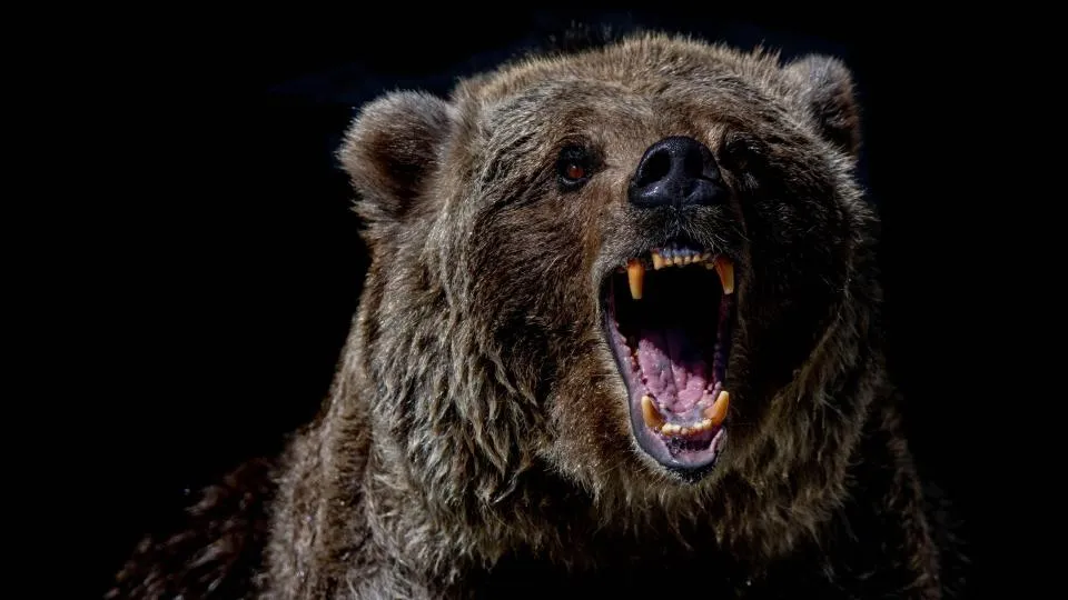 Bitcoin Absturz Unter $60K; Trader Verlieren Millionen!
