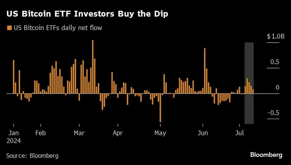 Bitcoin ETFs Senken Volatilität So Profitieren Sie