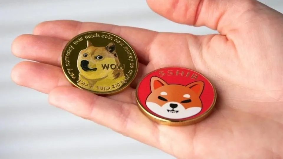 Dogecoin und Shiba Inu Kursgewinne Explodieren – Das müssen Anleger wissen