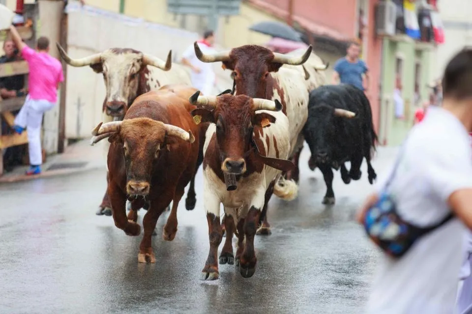 Bitcoin verzeichnet den größten täglichen Gewinn seit Oktober, marktneutrale Wetten erzielen das Dreifache von U.S.-Schatzbriefen.