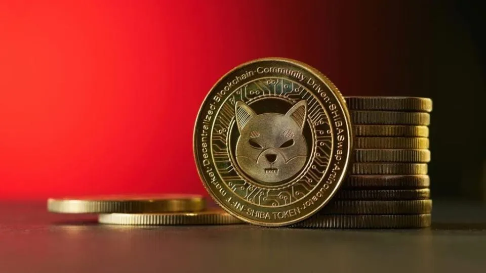 Shiba Inu Entwickler Pläne Enthüllt Erstaunliches Interview