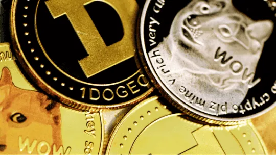 Elon Musk Bitcoin Dogecoin Elon Warnt vor Krypto-Scams